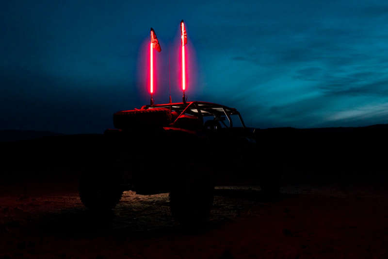 Red LED Whips on UTV