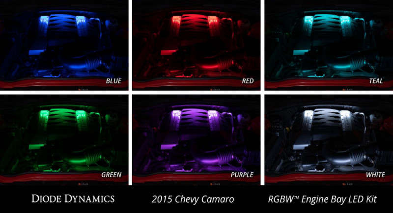 Diode Dynamics RGBW Multicolor Engine Bay LED Kit 2PC Multicolor