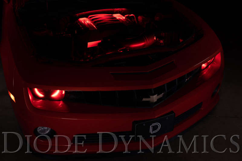 Diode Dynamics RGBW Multicolor Engine Bay LED Kit 4PC Multicolor