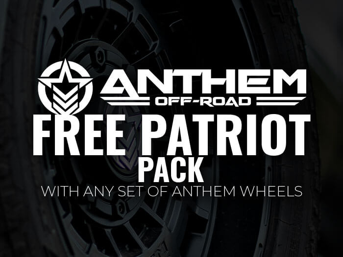 Free Anthem Patriot Pack Deal Image