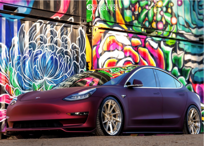 2018 Tesla 3 Long Range - 20x9 33mm / 20x10 37mm - BC Forged HCA210 - Coilovers - 255/35R20 / 295/30R20