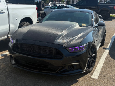 2017 Ford Mustang GT - 19x8.5 35mm / 19x10 40mm - Niche Essen - Lowering Springs - 255/40R19 / 285/35R19