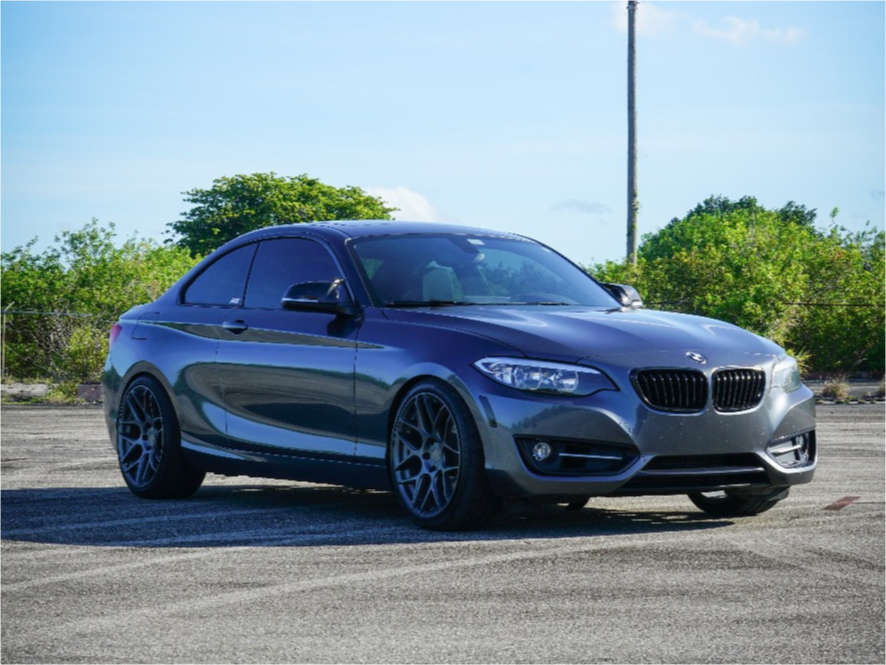 2016 BMW 228i with 19x8.5 35 Aodhan Ls002 and 225/40R19 Firestone Indy ...