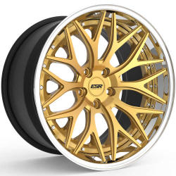ESR Forged LT20 20x9 20 Gold | LT20-20951152003G | Fitment Industries
